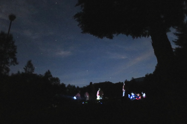 星空観察