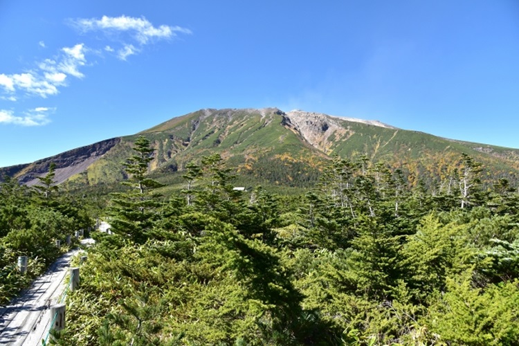 田の原天然公園