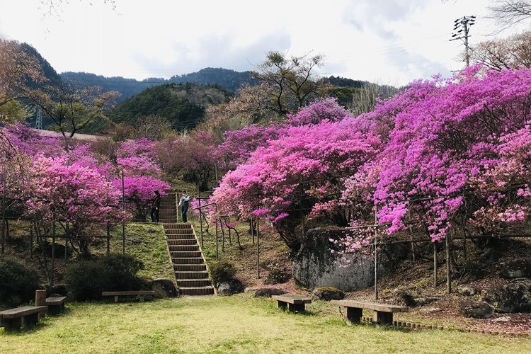 天白公園